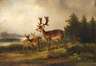Carl Friedrich Ockert, Damhirsche