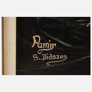 Siegfried Didszus, Segelschiff "Pamir"