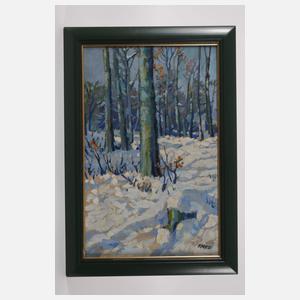 August Friedrich Wilhelm Hitz, Sonne und Schnee