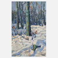 August Friedrich Wilhelm Hitz, Sonne und Schnee111