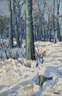 August Friedrich Wilhelm Hitz, Sonne und Schnee