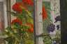 Paul Kauzmann, "Blumen am Fenster"