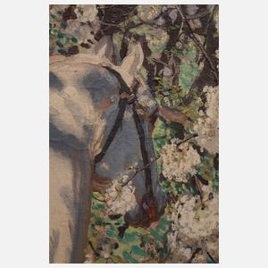 Rudolf Kohtz, Krieger im Frühling