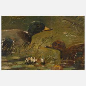 H. Kramer, Entenfamilie