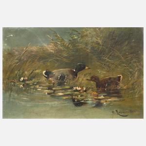H. Kramer, Entenfamilie