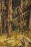Franta Maly, Wald "Koschutnjak" bei Belgrad
