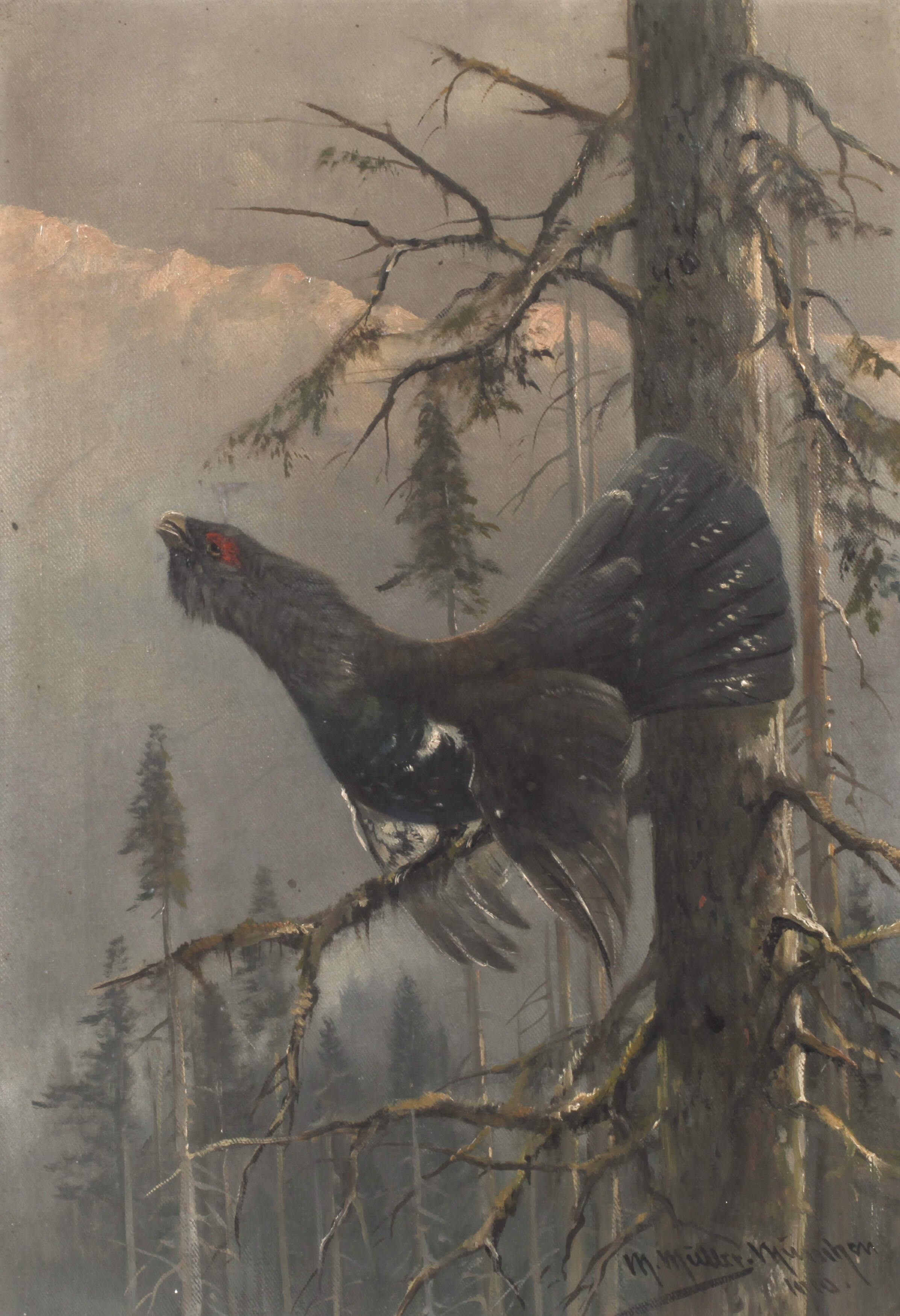 Moritz Müller-München, Auerhahn vor Bergmassiv