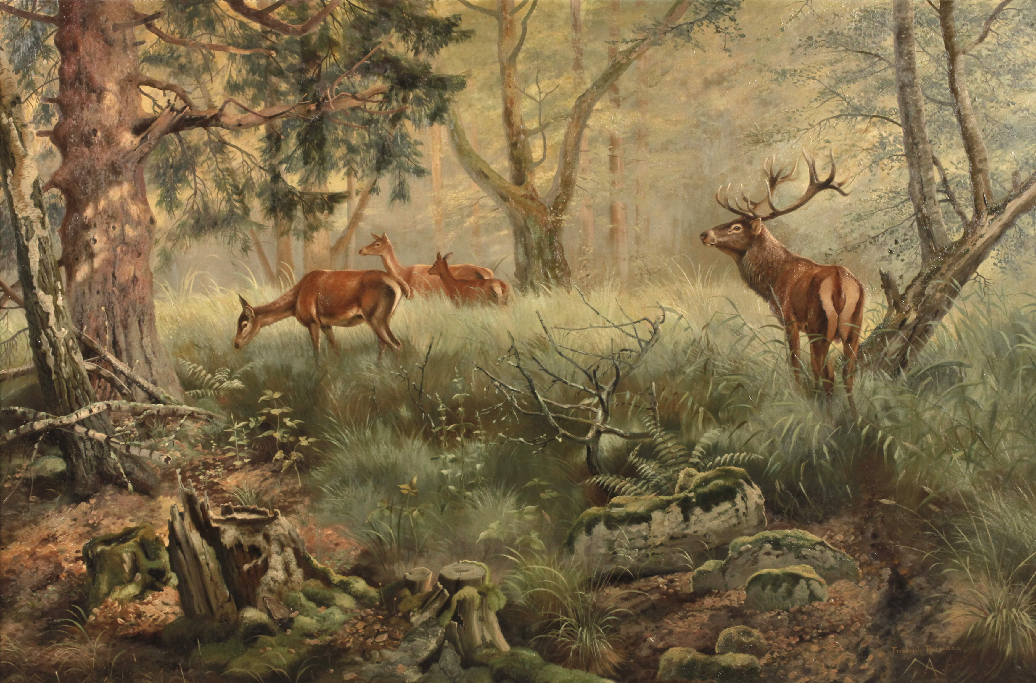 Friedrich Reimann, Hirsche im morgendlichen Dunst