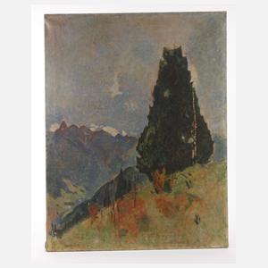 Hans Rich. Heinmann, Baumgruppe vor den Dolomiten