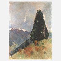 Hans Rich. Heinmann, Baumgruppe vor den Dolomiten111