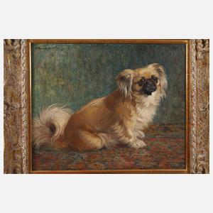 Ferdinand Schebek, Pekinese