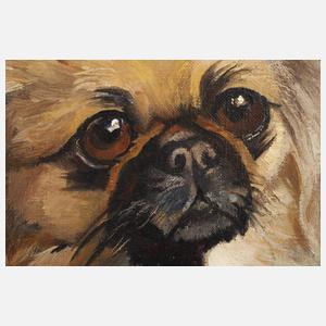 Ferdinand Schebek, Pekinese