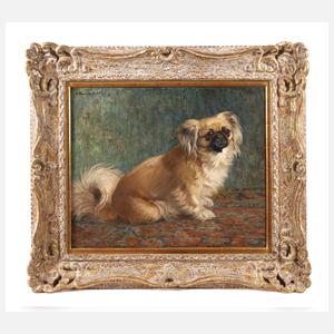 Ferdinand Schebek, Pekinese
