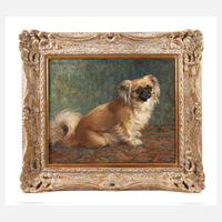 Ferdinand Schebek, Pekinese111