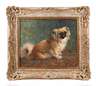Ferdinand Schebek, Pekinese