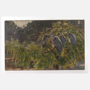 Ferdinand Schebek, "Fischreiher"