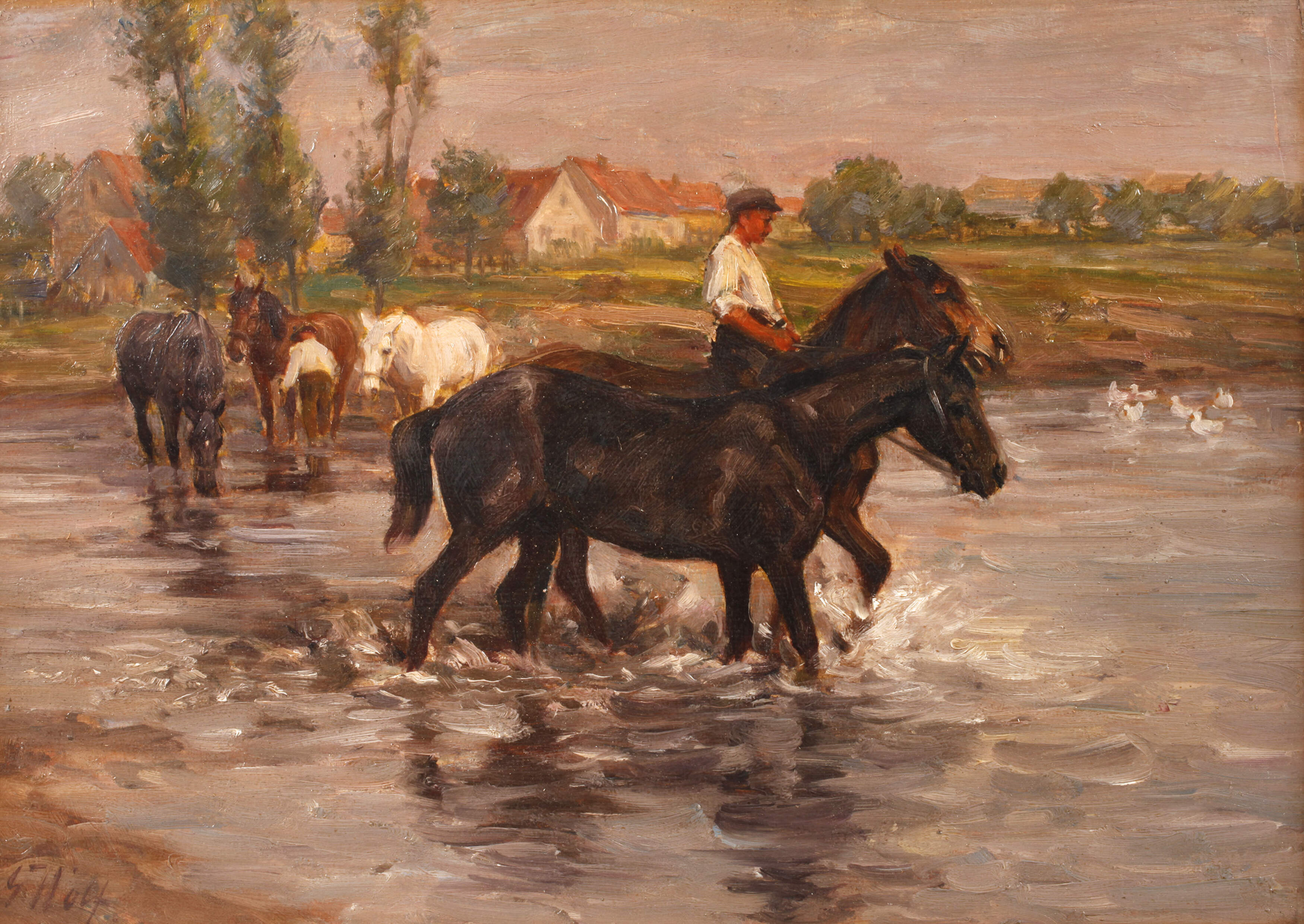 Georg Wolf, In der Schwemme