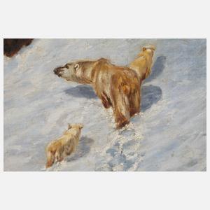 Eisbärenfamilie im Schnee
