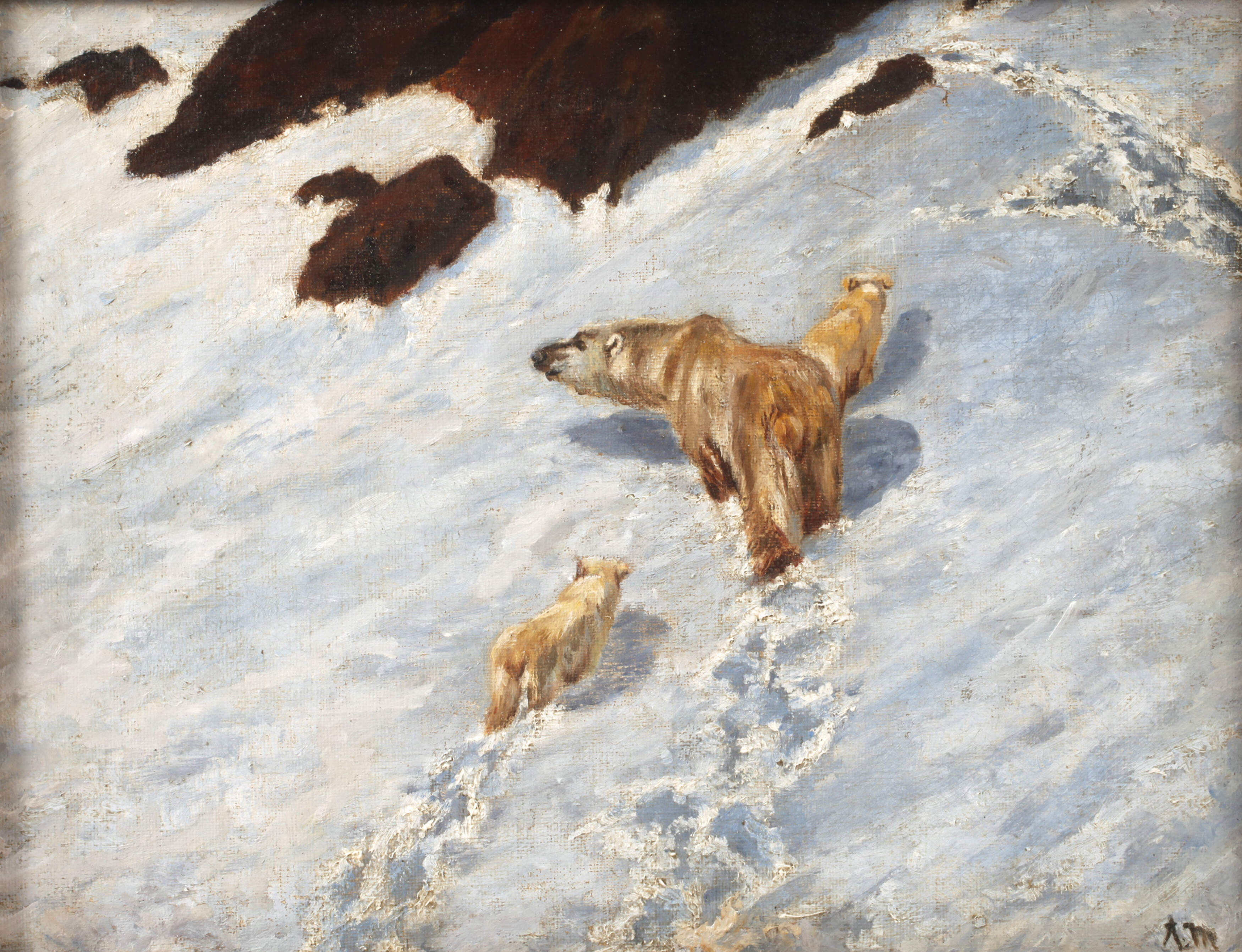Eisbärenfamilie im Schnee