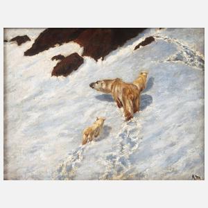 Eisbärenfamilie im Schnee