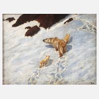 Eisbärenfamilie im Schnee111