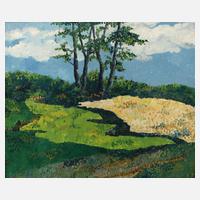Baumgruppe in Sommerlandschaft111