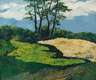 Baumgruppe in Sommerlandschaft