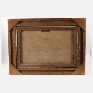 Sommerabend im Moor
