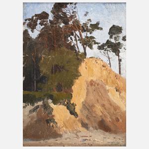 Abbruchkante an der Ostsee
