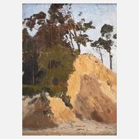 Abbruchkante an der Ostsee111