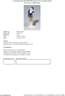 Meissen, Jugendstil-Figur "Knabe mit Katze"