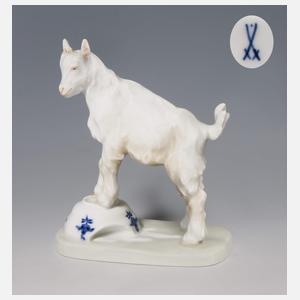 Meissen, Jugendstil-Tierfigur "Ziegenbock auf Napf"
