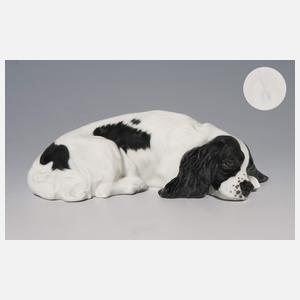 Meissen, Jugendstil-Tierfigur "Cockerspaniel, liegend"