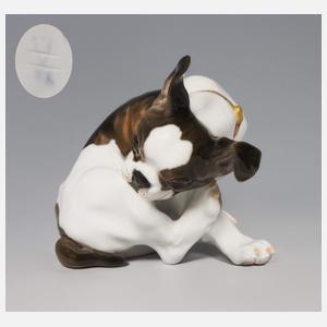 Meissen, Jugendstil-Tierfigur "Zwergbulldogge"