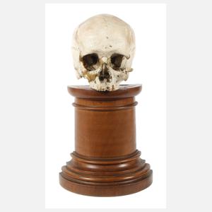 Memento mori