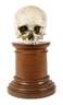 Memento mori