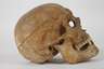 Anatomisches Anschauungsmodell