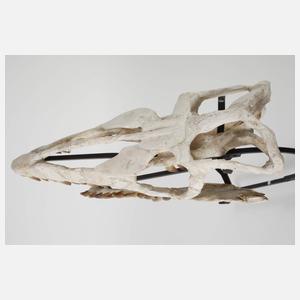 Fossil