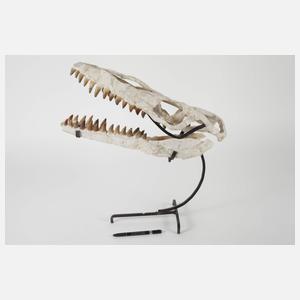 Fossil