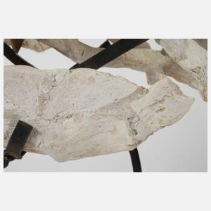 Fossil