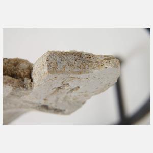 Fossil