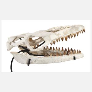 Fossil