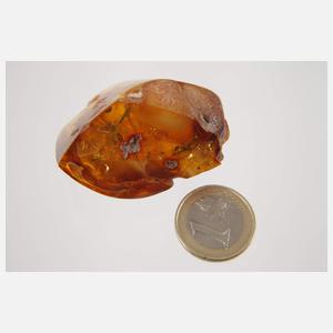 Drei Rohbernsteine