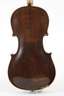 Violine im Etui