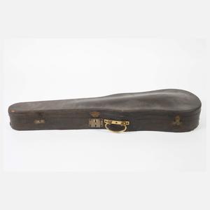 Violine im Etui