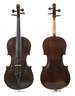 Violine im Etui