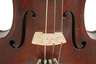 Violine im Etui