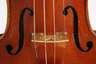 Violine im Etui