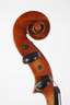 Violine im Etui