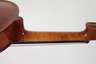 Violine im Etui